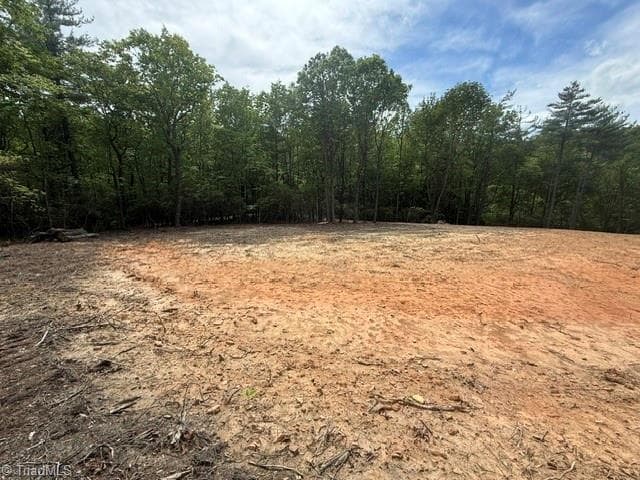 Single Family Residence at 00 Chestnut Mountain Farms Parkway, McGrady NC 28649, photo 2 of 6