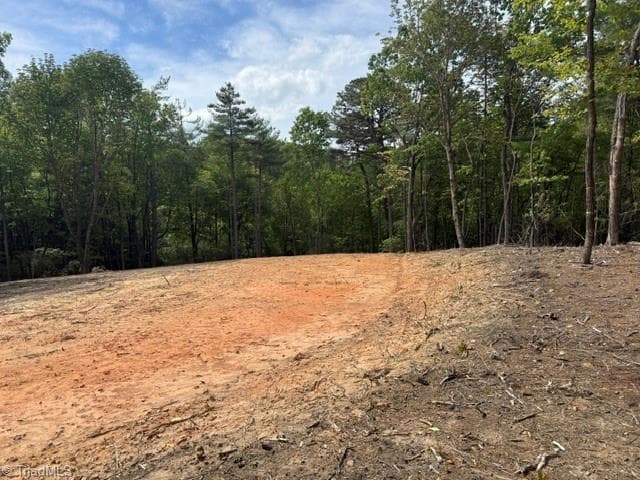 Single Family Residence at 00 Chestnut Mountain Farms Parkway, McGrady NC 28649, photo 3 of 6