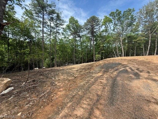 Single Family Residence at 00 Chestnut Mountain Farms Parkway, McGrady NC 28649, photo 5 of 6