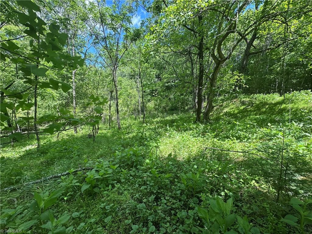 Unimproved Land at 248 Wiley Reynolds Road, Millers Creek NC 28651, photo 23 of 27