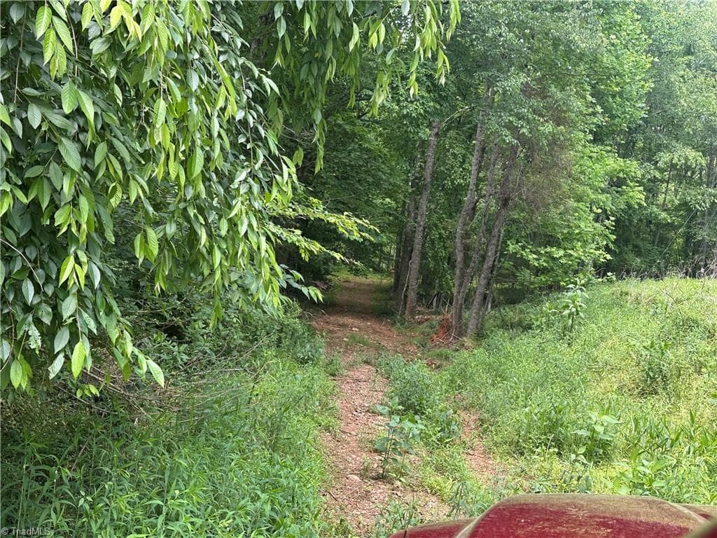 Unimproved Land at 248 Wiley Reynolds Road, Millers Creek NC 28651, photo 13 of 27