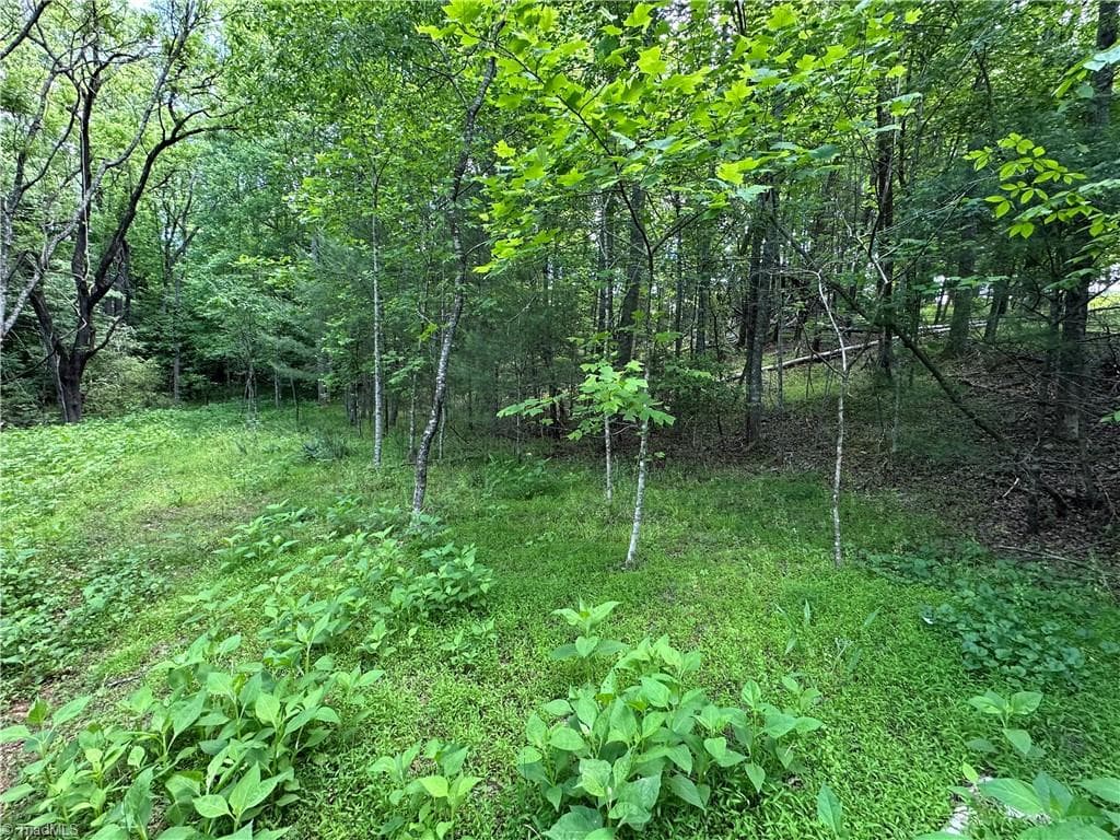 Unimproved Land at 248 Wiley Reynolds Road, Millers Creek NC 28651, photo 17 of 27