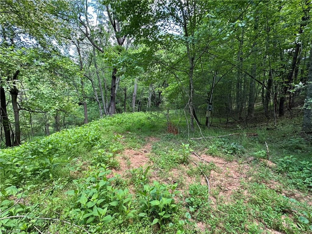 Unimproved Land at 248 Wiley Reynolds Road, Millers Creek NC 28651, photo 14 of 27