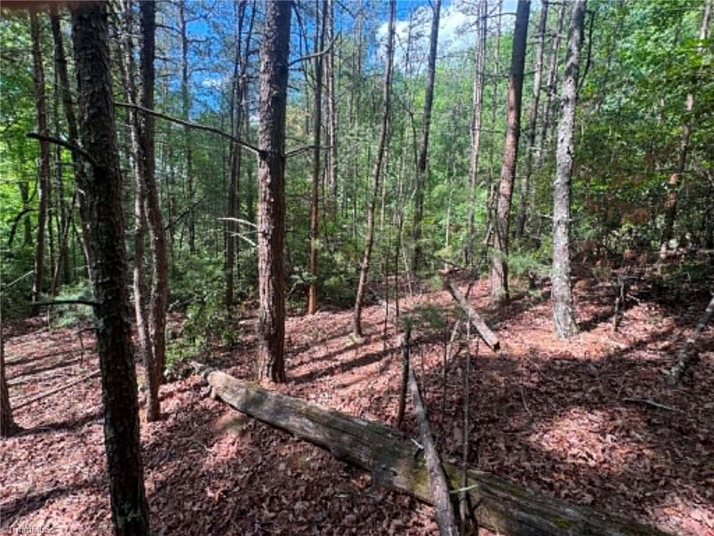Unimproved Land at Lot 19 Fawn Lane, Hayes NC 28635, photo 2 of 18
