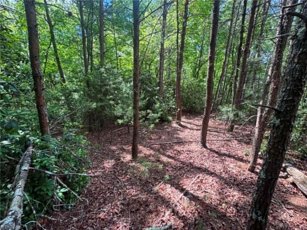 Unimproved Land at Lot 19 Fawn Lane, Hayes NC 28635, photo 6 of 18