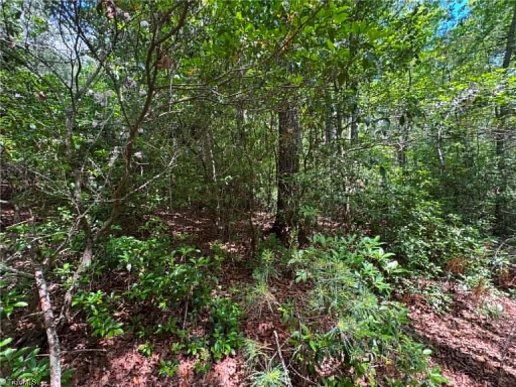 Unimproved Land at Lot 19 Fawn Lane, Hayes NC 28635, photo 13 of 18