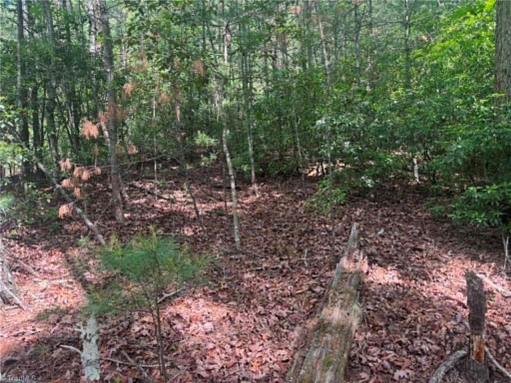 Unimproved Land at Lot 19 Fawn Lane, Hayes NC 28635, photo 17 of 18