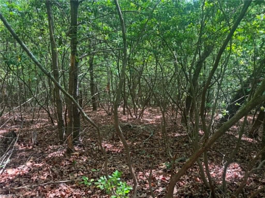 Unimproved Land at Lot 19 Fawn Lane, Hayes NC 28635, photo 16 of 18