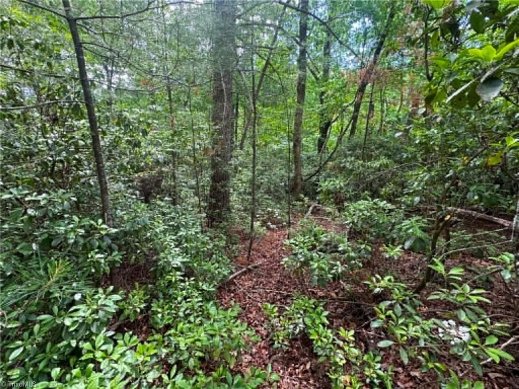 Unimproved Land at Lot 19 Fawn Lane, Hayes NC 28635, photo 12 of 18