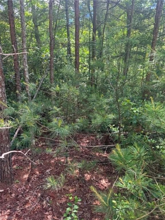 Unimproved Land at Lot 19 Fawn Lane, Hayes NC 28635, photo 7 of 18