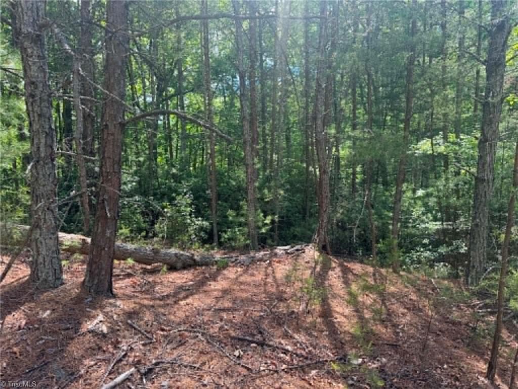 Unimproved Land at Lot 19 Fawn Lane, Hayes NC 28635, photo 3 of 18