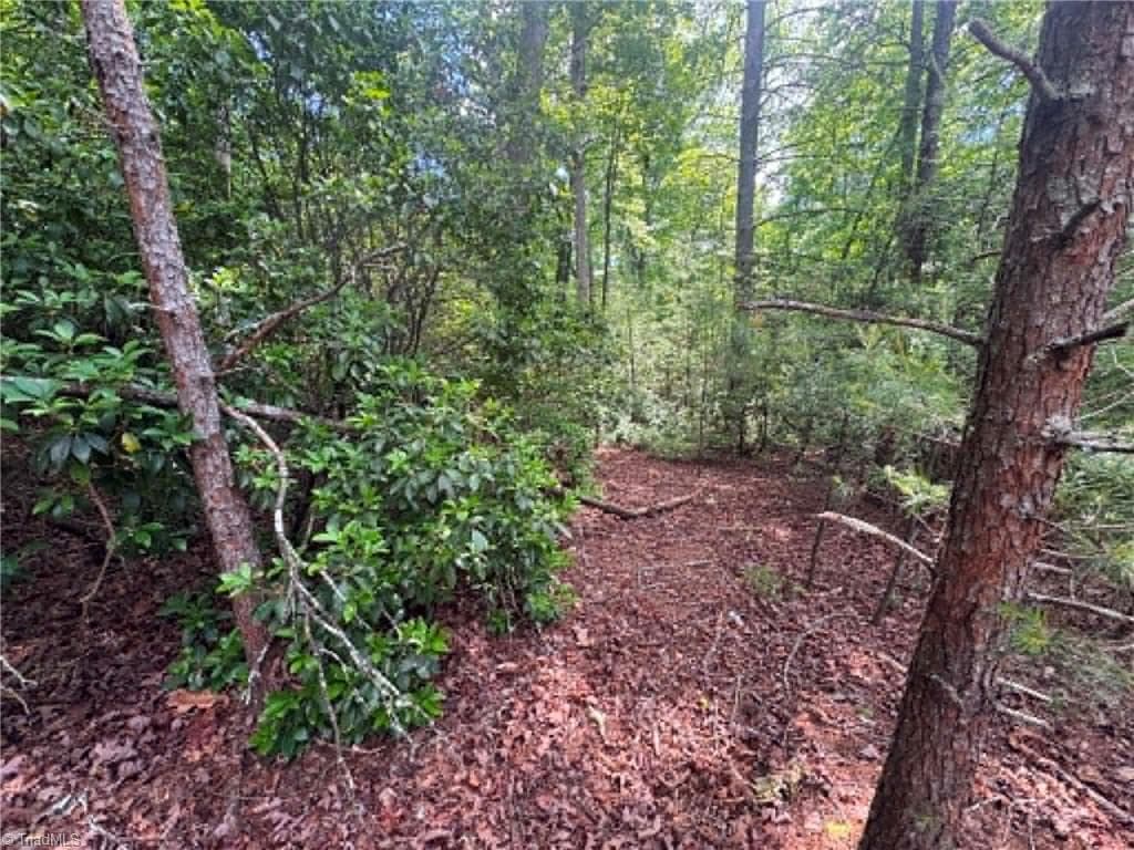 Unimproved Land at Lot 19 Fawn Lane, Hayes NC 28635, photo 5 of 18