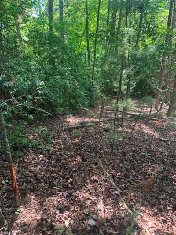Unimproved Land at Lot 19 Fawn Lane, Hayes NC 28635, photo 10 of 18