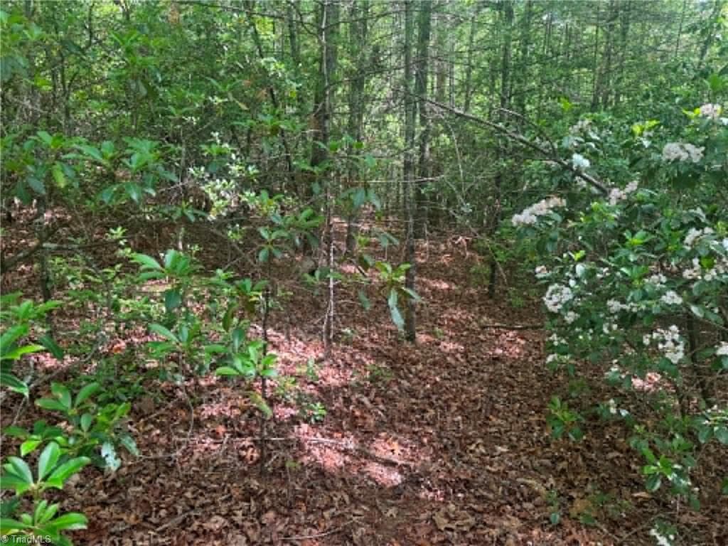 Unimproved Land at Lot 19 Fawn Lane, Hayes NC 28635, photo 14 of 18