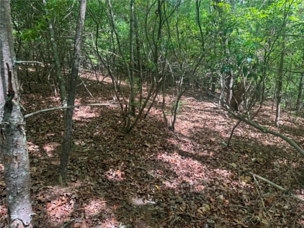 Unimproved Land at Lot 19 Fawn Lane, Hayes NC 28635, photo 15 of 18