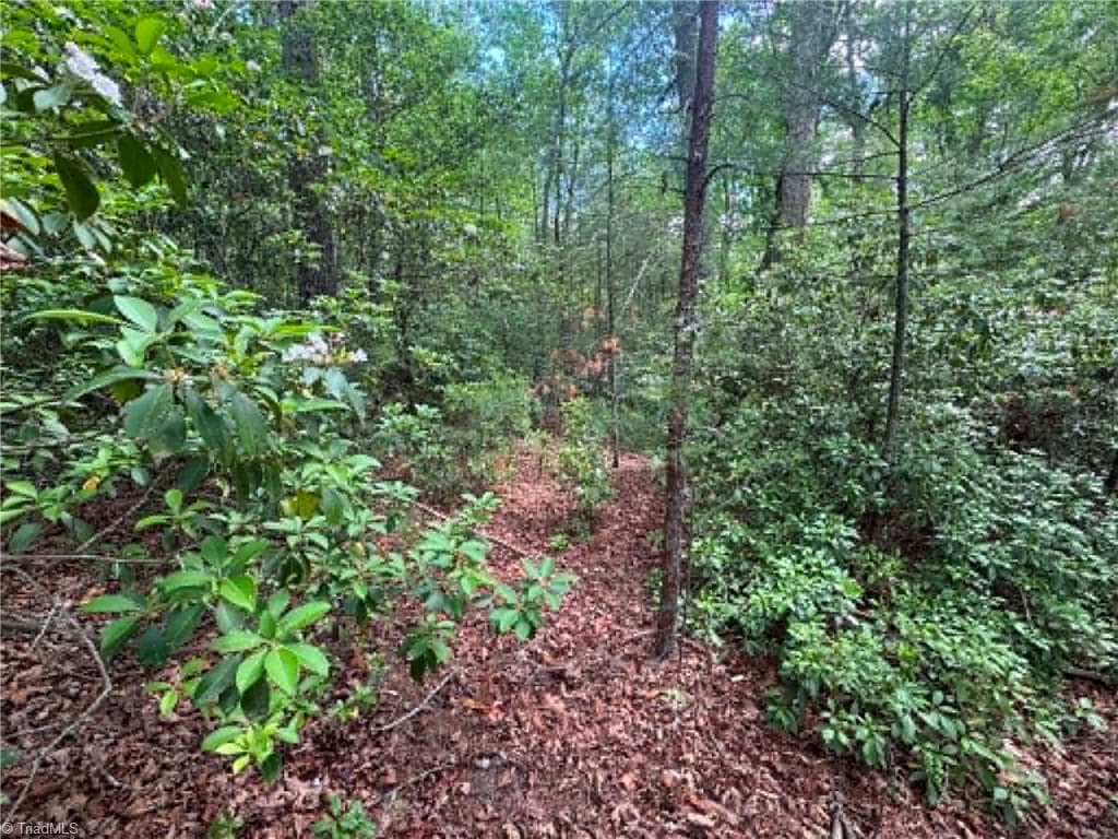 Unimproved Land at Lot 19 Fawn Lane, Hayes NC 28635, photo 11 of 18