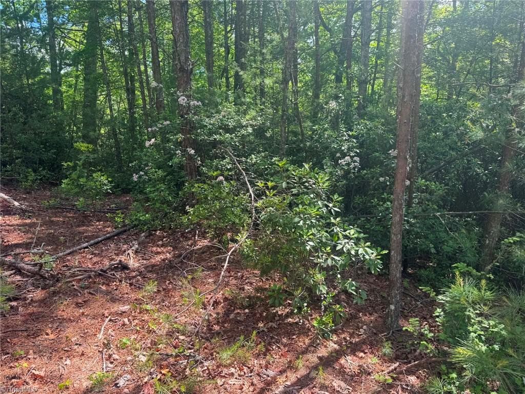 Unimproved Land at Lot 19 Fawn Lane, Hayes NC 28635, photo 4 of 18
