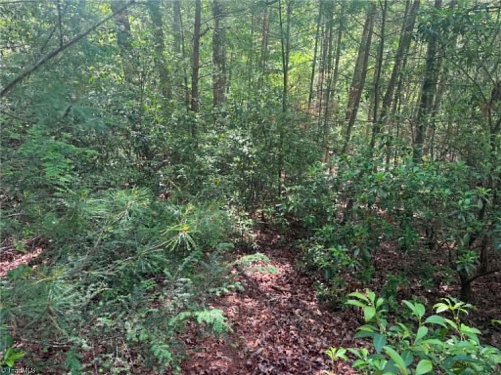 Unimproved Land at Lot 19 Fawn Lane, Hayes NC 28635, photo 8 of 18
