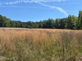 Agriculture at 4275 Grubbs Road, Walkertown NC 27051, photo 13 of 16