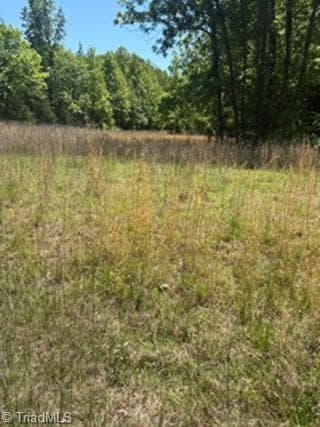 Agriculture at 4275 Grubbs Road, Walkertown NC 27051, photo 15 of 16