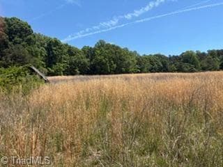 Agriculture at 4275 Grubbs Road, Walkertown NC 27051, photo 11 of 16