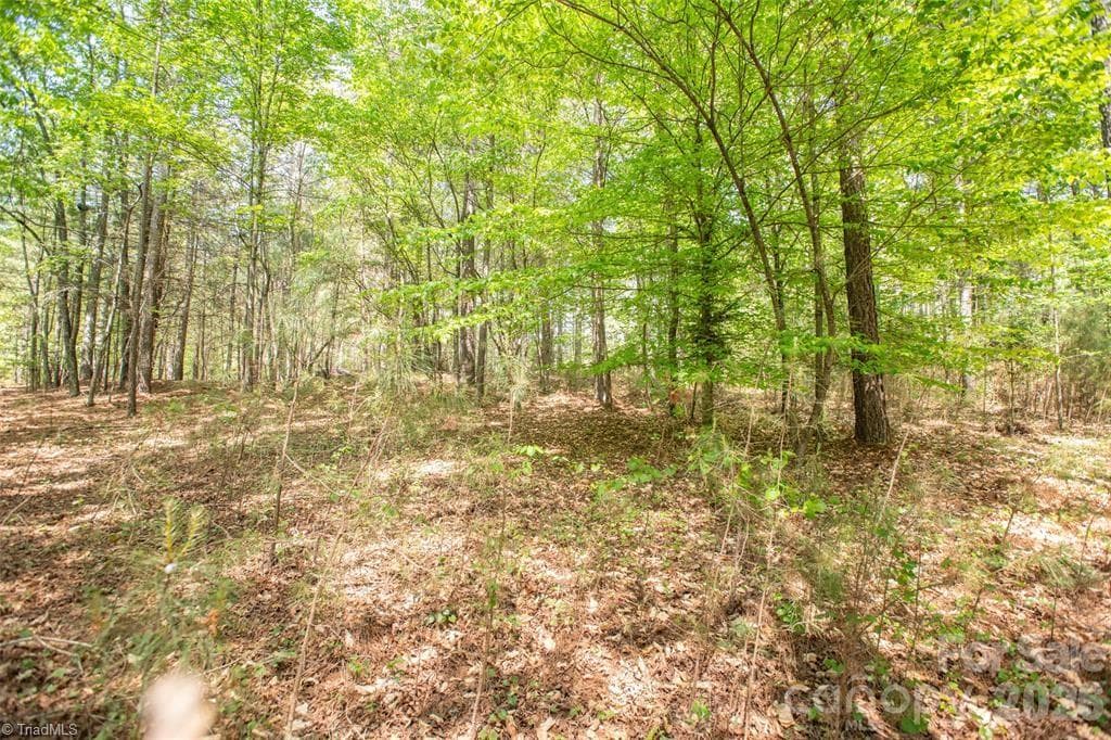 1518 W Paradise Harbor Drive, Connelly Springs NC 28612