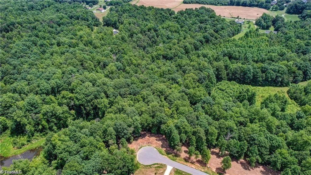 8434 Exmoor Trace, Browns Summit NC 27214