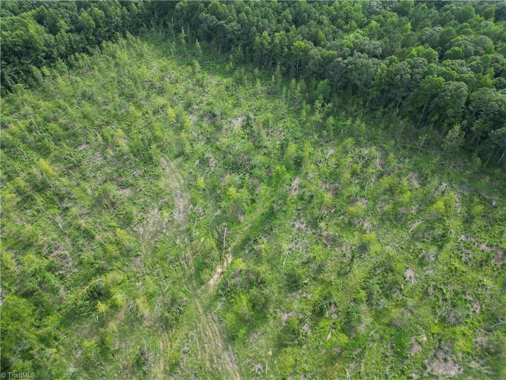 Unimproved Land at 00 NC Highway 49 S, Denton NC 27239, photo 23 of 37