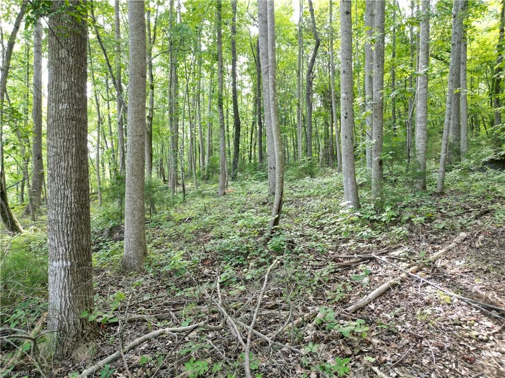 Unimproved Land at 00 NC Highway 49 S, Denton NC 27239, photo 27 of 37