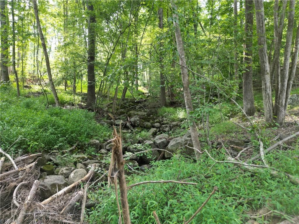 Unimproved Land at 00 NC Highway 49 S, Denton NC 27239, photo 13 of 37
