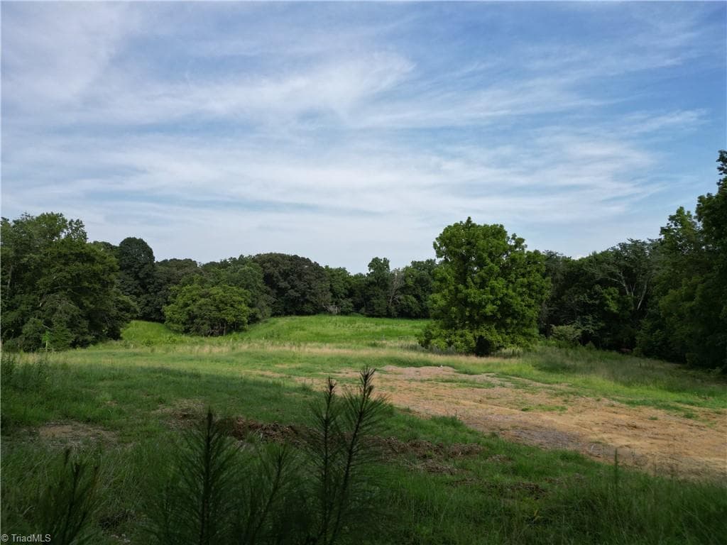 Unimproved Land at 00 NC Highway 49 S, Denton NC 27239, photo 26 of 37
