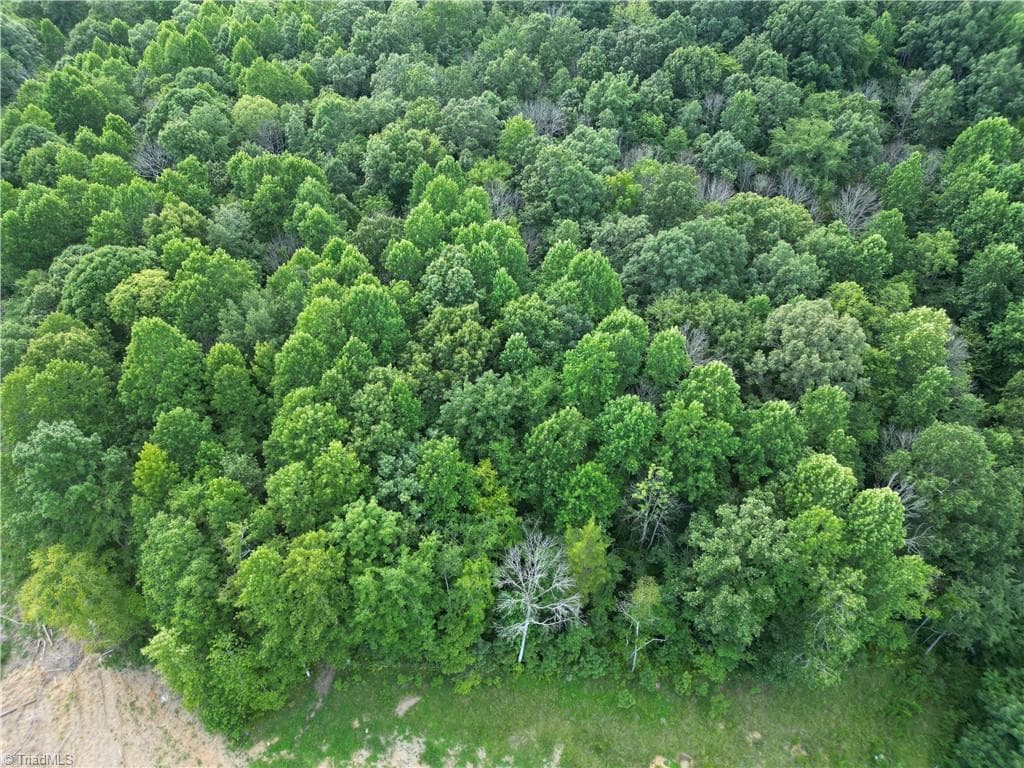 Unimproved Land at 00 NC Highway 49 S, Denton NC 27239, photo 30 of 37