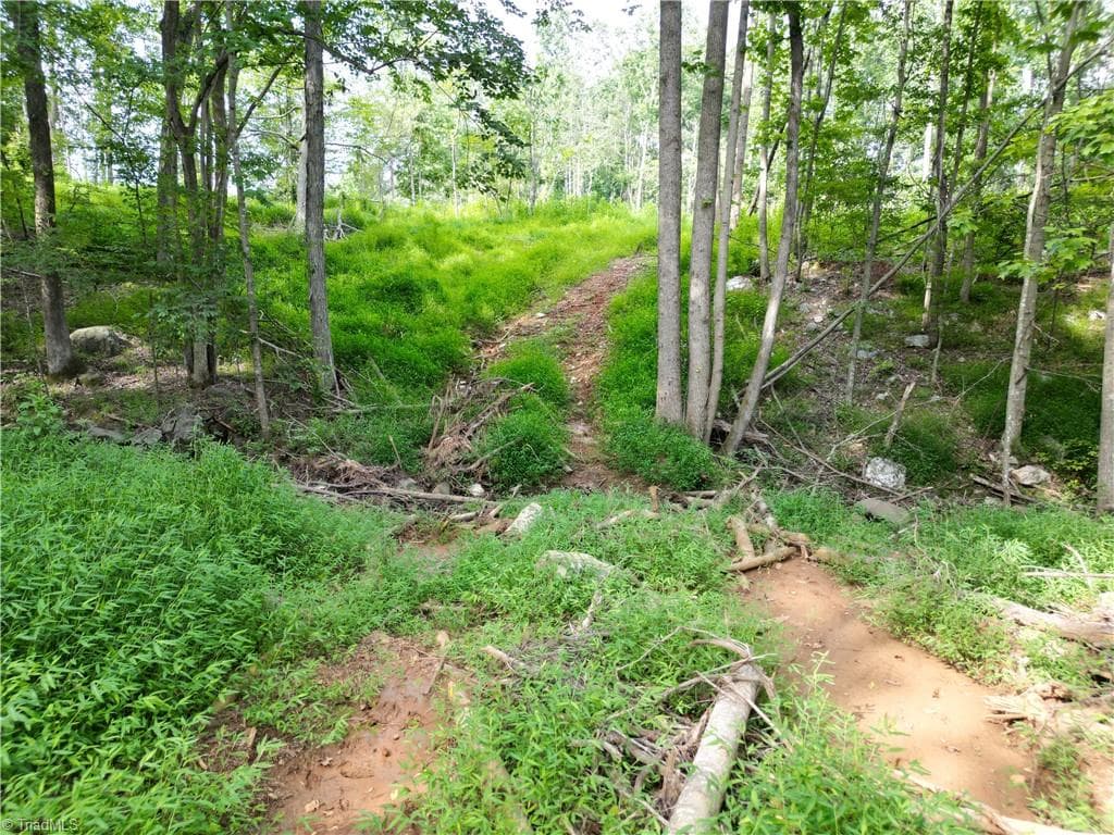 Unimproved Land at 00 NC Highway 49 S, Denton NC 27239, photo 14 of 37