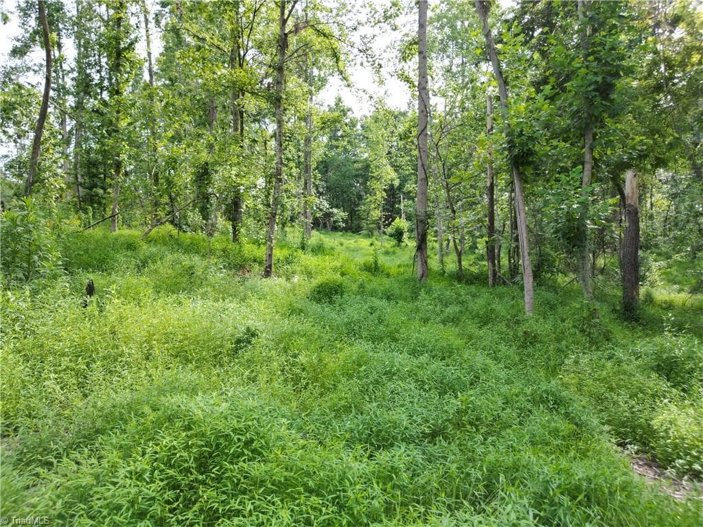 Unimproved Land at 00 NC Highway 49 S, Denton NC 27239, photo 18 of 37