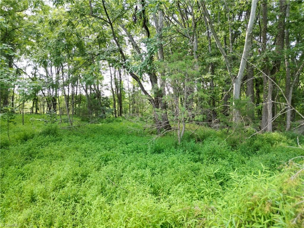Unimproved Land at 00 NC Highway 49 S, Denton NC 27239, photo 19 of 37