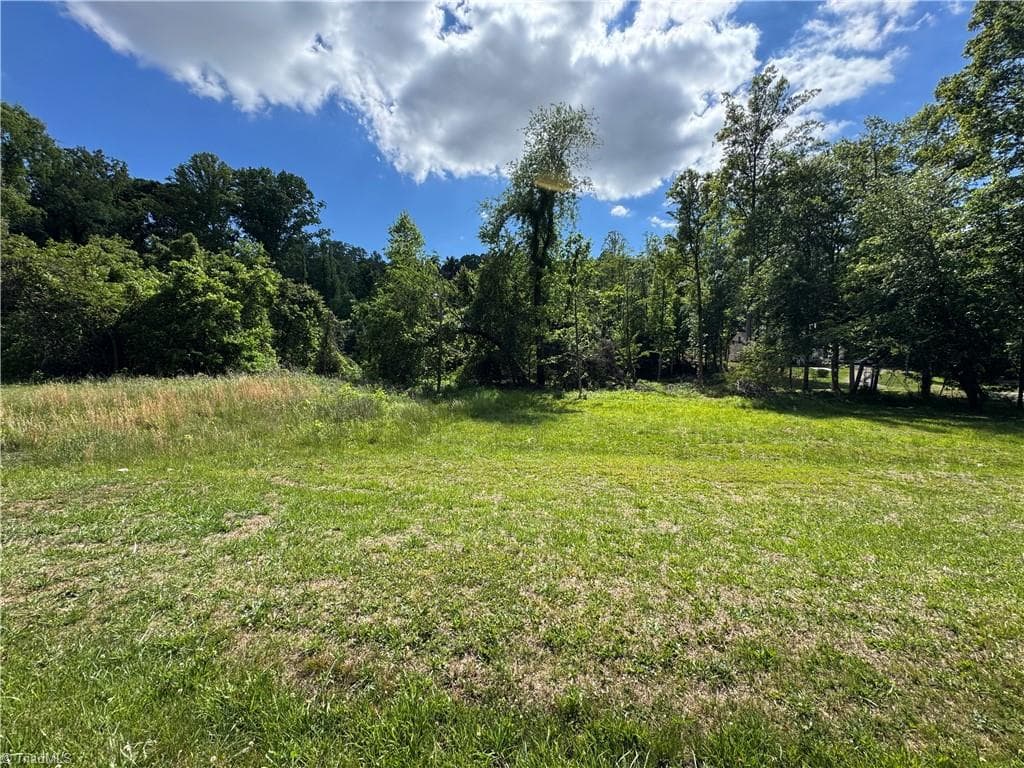 Unimproved Land at 405 Brown Road, King NC 27021, photo 4 of 13