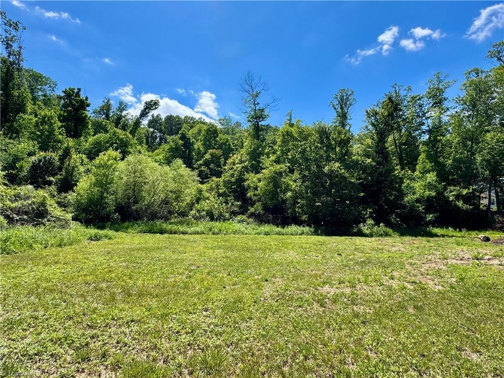 Unimproved Land at 405 Brown Road, King NC 27021, photo 8 of 13