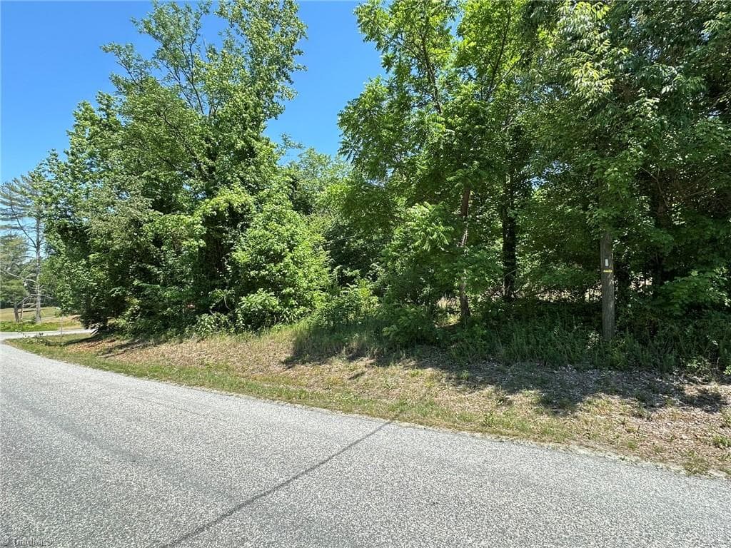 Single Family Residence at 0 Ridgemeadow Drive, Winston-Salem NC 27127, Winston-Salem, photo 23 of 30