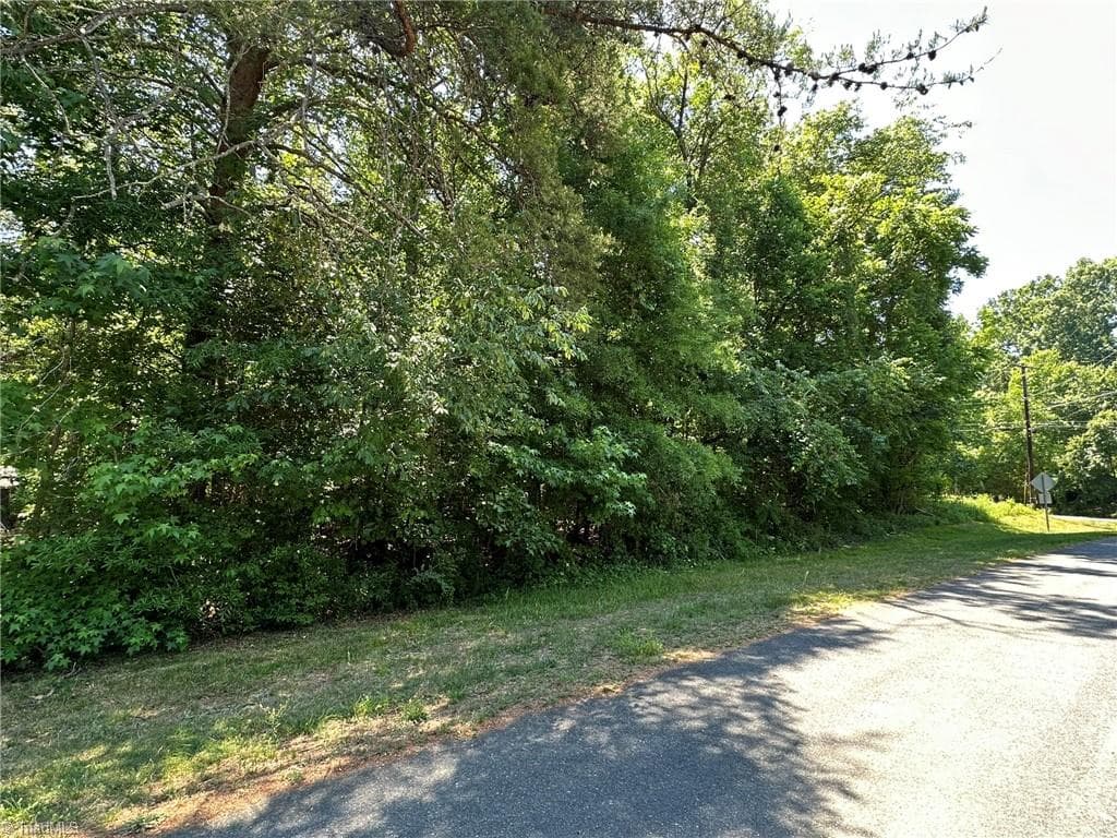 Single Family Residence at 0 Ridgemeadow Drive, Winston-Salem NC 27127, Winston-Salem, photo 5 of 30