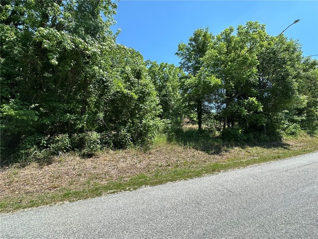 Single Family Residence at 0 Ridgemeadow Drive, Winston-Salem NC 27127, Winston-Salem, photo 27 of 30