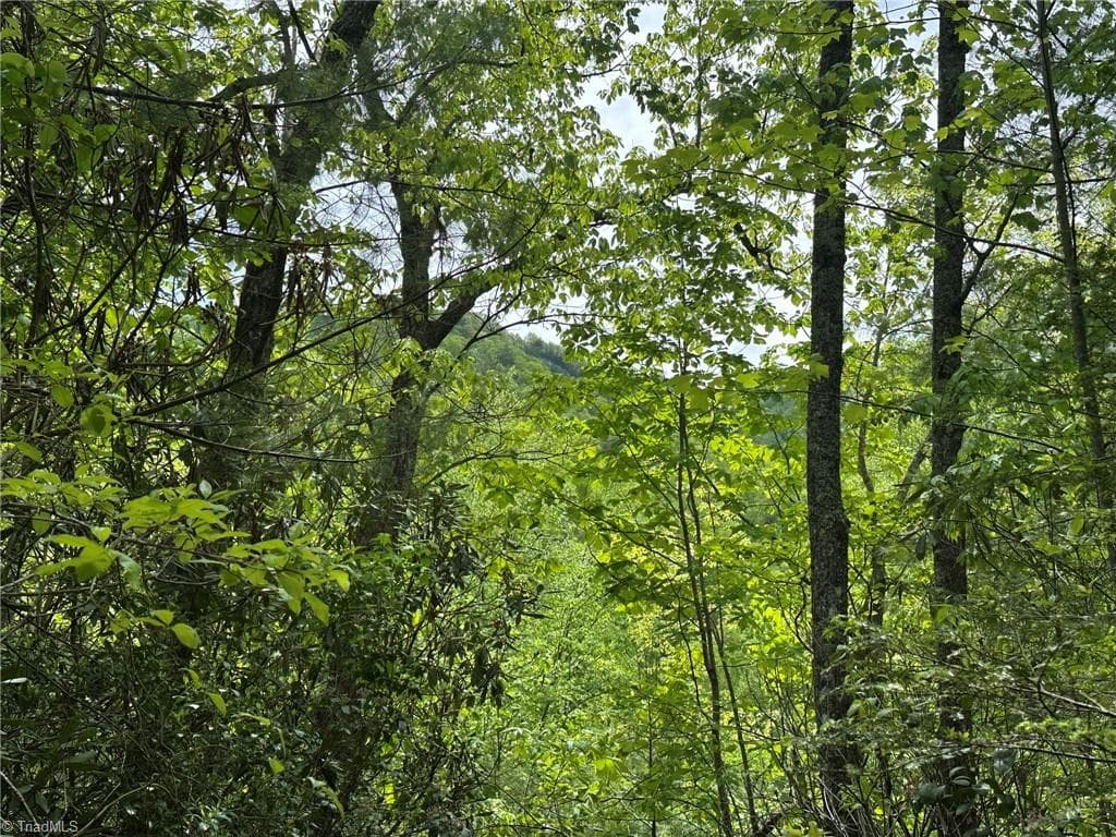 Unimproved Land at 0000 N Old NC Highway 16, Millers Creek NC 28651, photo 27 of 42