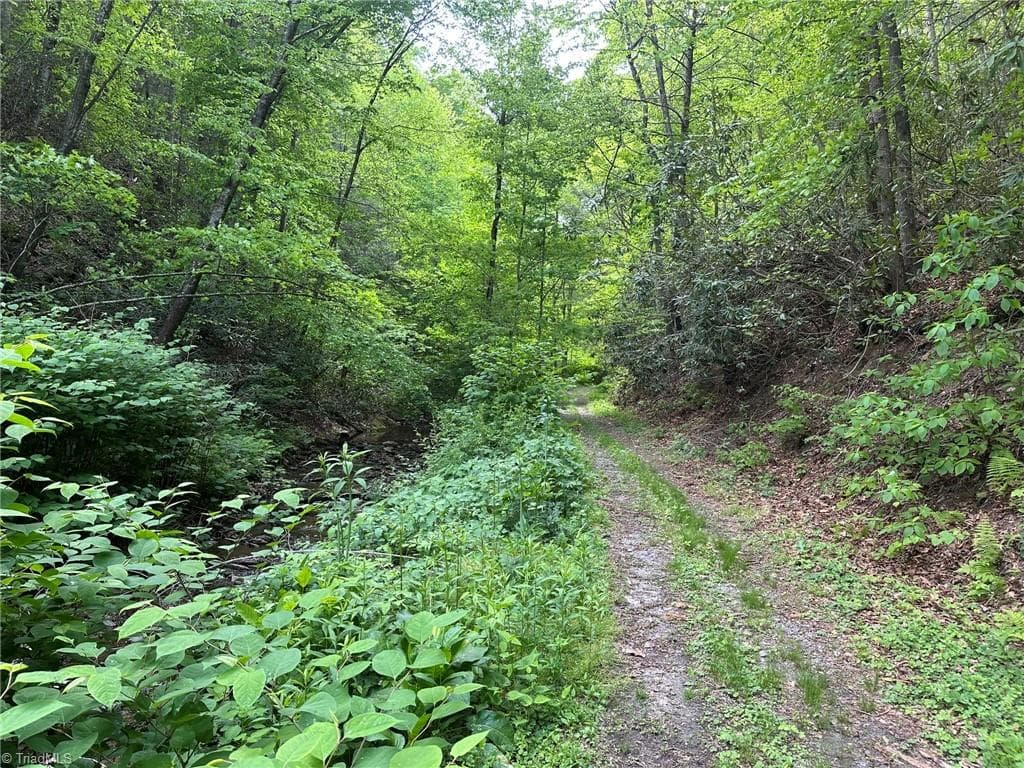 Unimproved Land at 0000 N Old NC Highway 16, Millers Creek NC 28651, photo 6 of 42