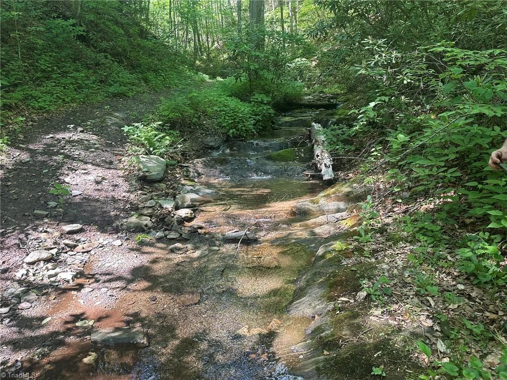 Unimproved Land at 0000 N Old NC Highway 16, Millers Creek NC 28651, photo 42 of 42