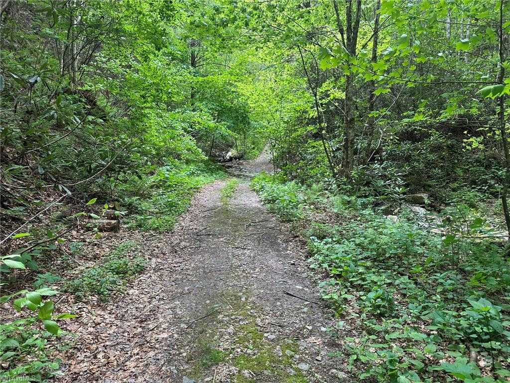 Unimproved Land at 0000 N Old NC Highway 16, Millers Creek NC 28651, photo 13 of 42