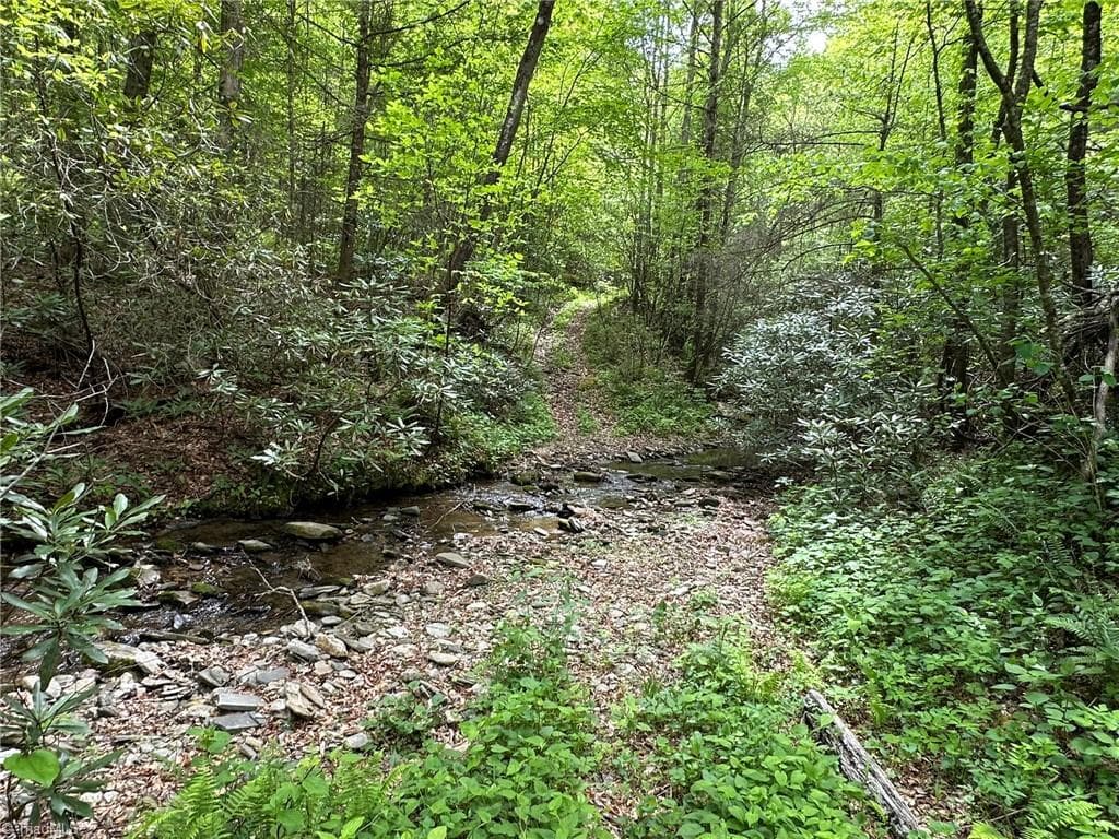 Unimproved Land at 0000 N Old NC Highway 16, Millers Creek NC 28651, photo 17 of 42