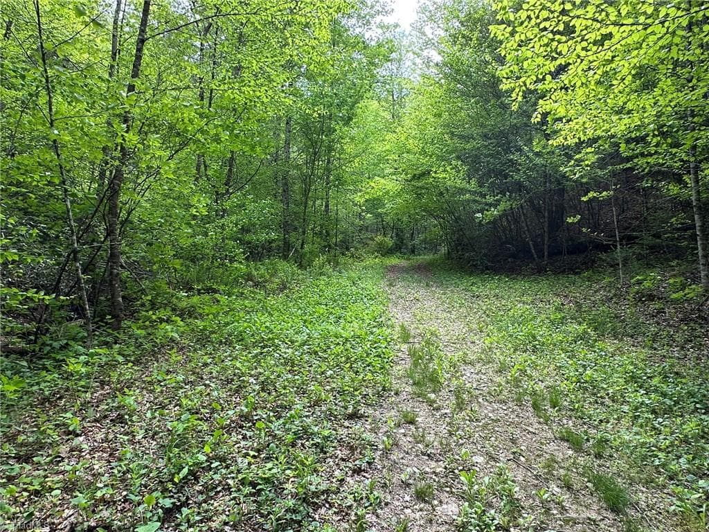 Unimproved Land at 0000 N Old NC Highway 16, Millers Creek NC 28651, photo 16 of 42