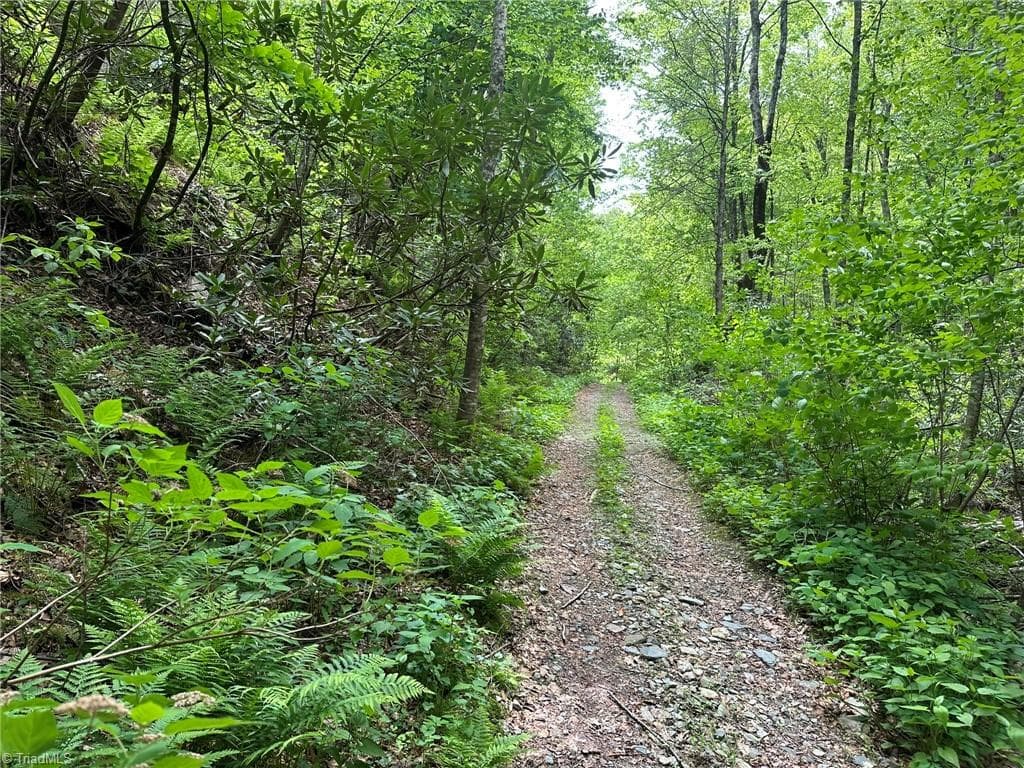 Unimproved Land at 0000 N Old NC Highway 16, Millers Creek NC 28651, photo 12 of 42