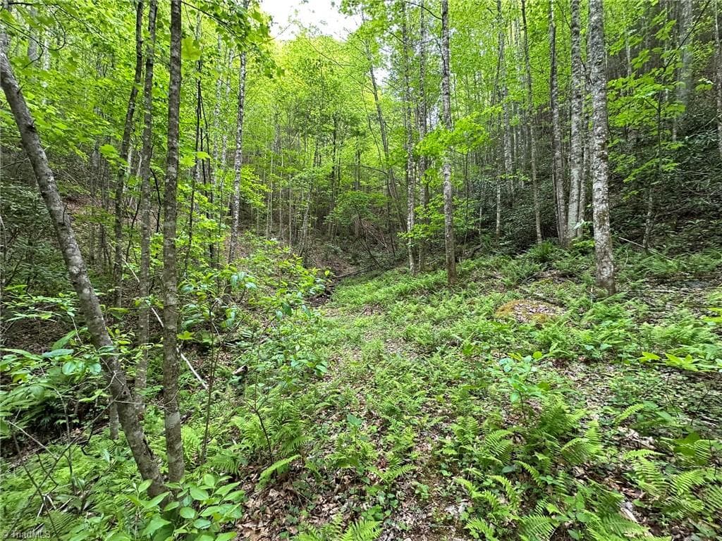 Unimproved Land at 0000 N Old NC Highway 16, Millers Creek NC 28651, photo 26 of 42