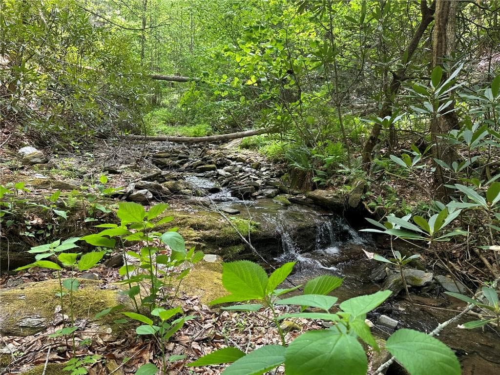 Unimproved Land at 0000 N Old NC Highway 16, Millers Creek NC 28651, photo 22 of 42