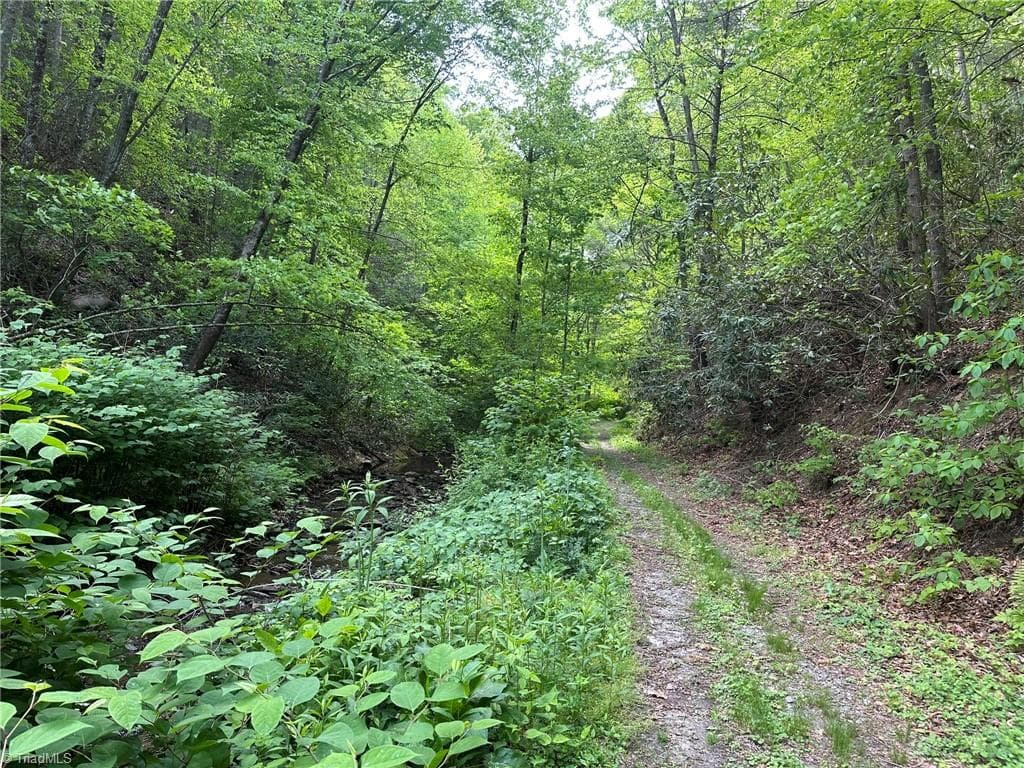 Unimproved Land at 0000 N Old NC Highway 16, Millers Creek NC 28651, photo 7 of 42